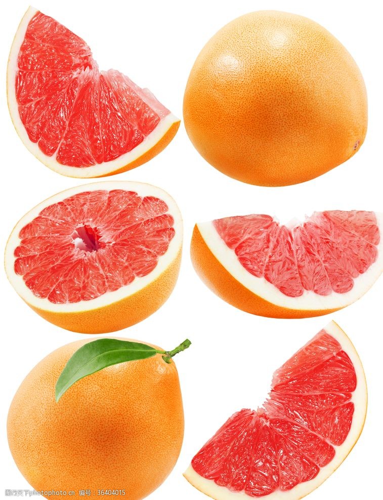 樱花展架血橙