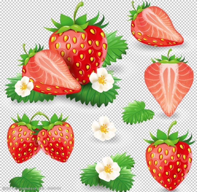 樱桃展板水果
