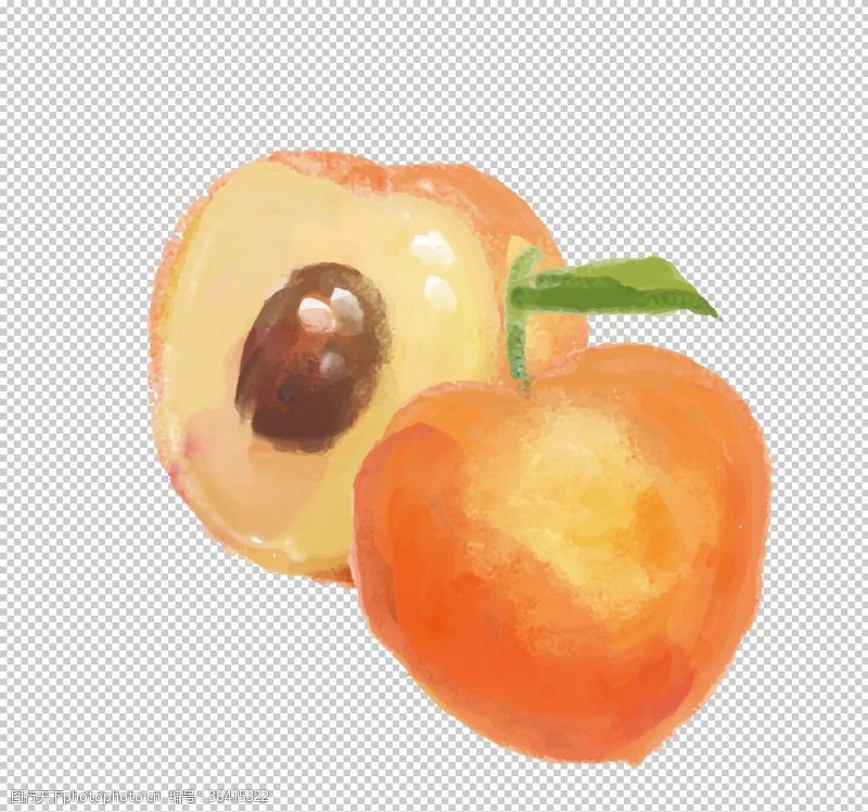 樱桃展板水果
