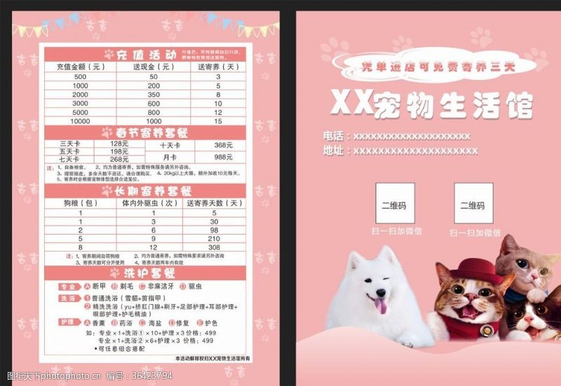 宠物店彩页宠物宣传单