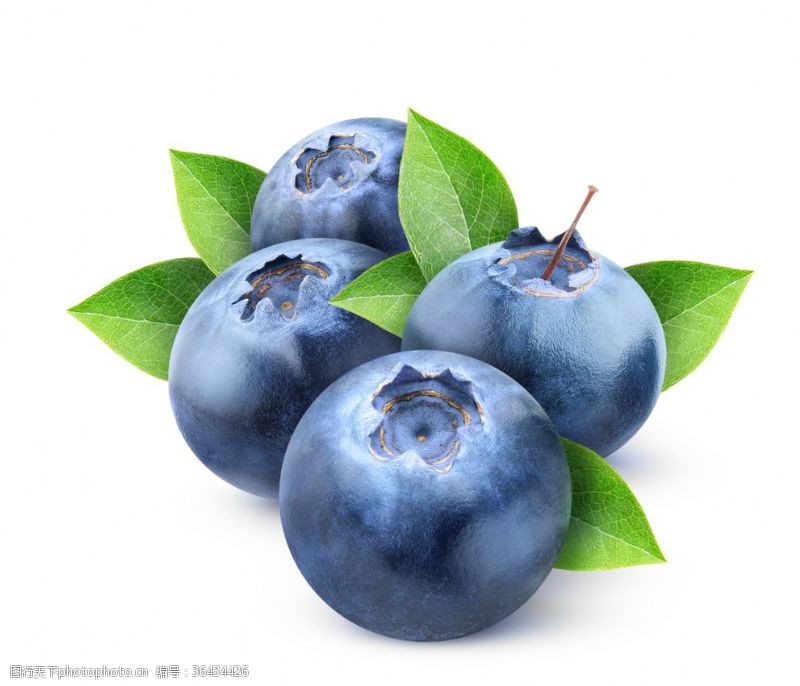 野生蓝莓蓝莓蓝莓黑莓鲜果