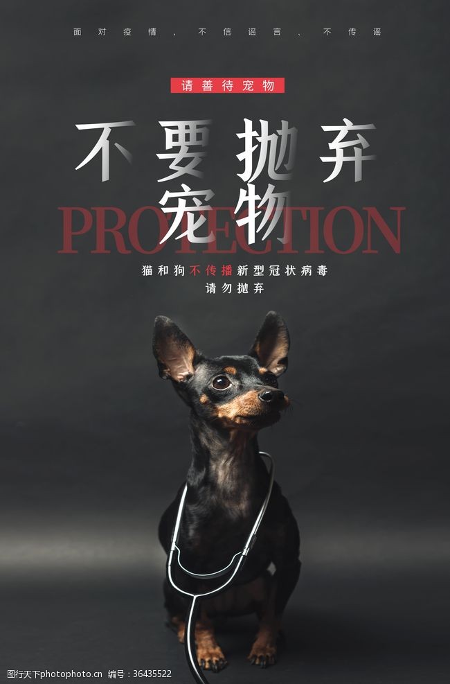 创意和谐中国宠物海报