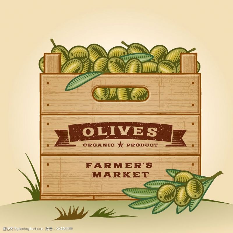 复古箱子箱子里的水果绿色健康复古素材