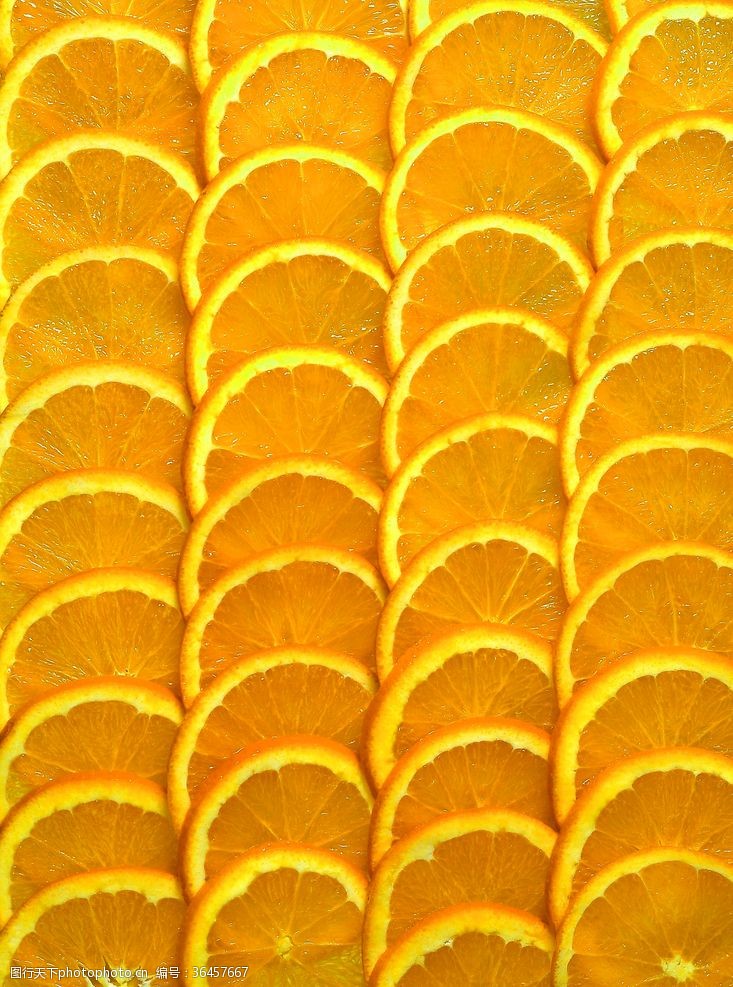 橙子切片素材橙子背景