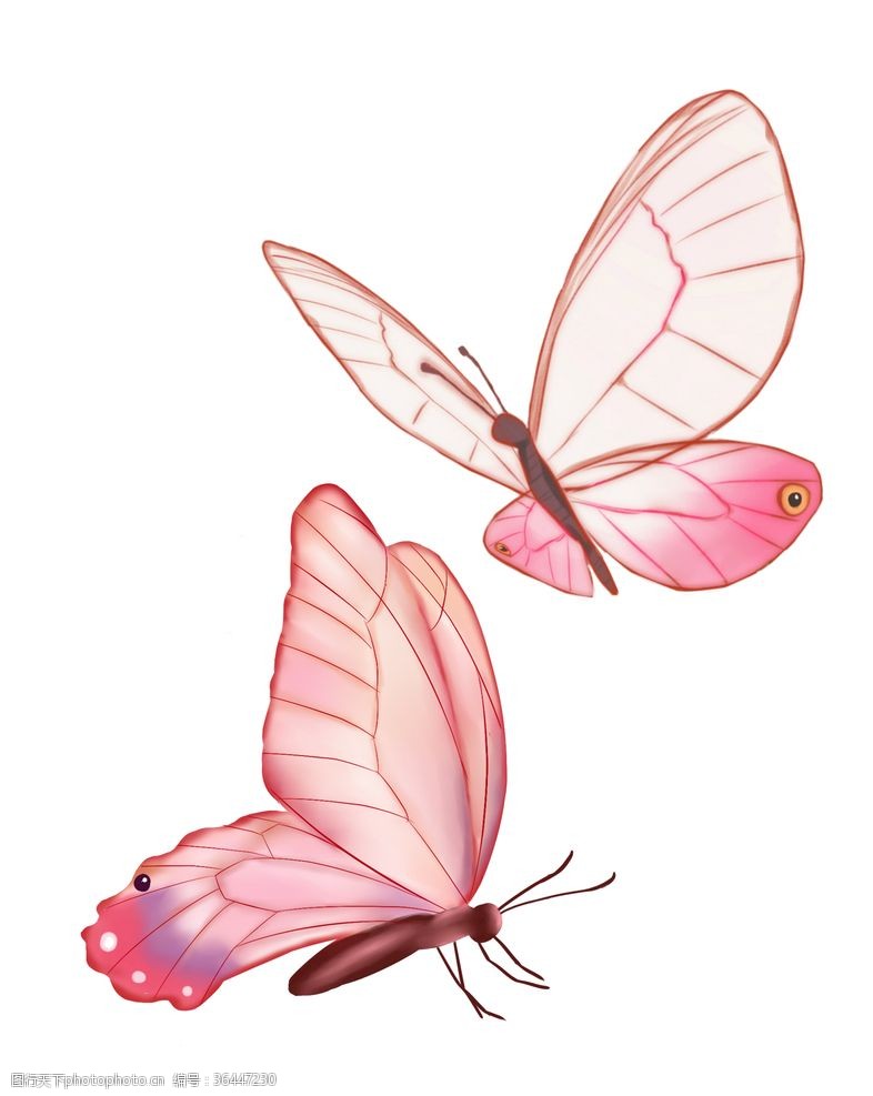 逼真动物粉色蝴蝶