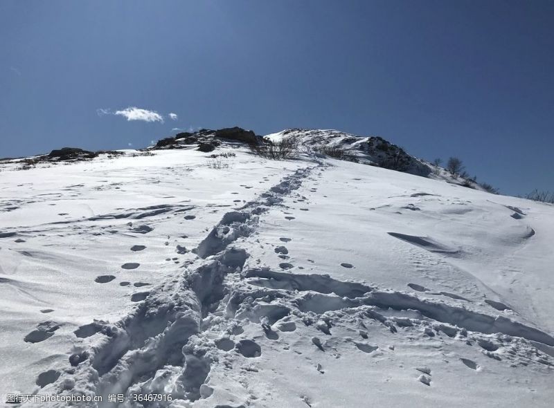 意外险高山冒险阿尔卑斯山