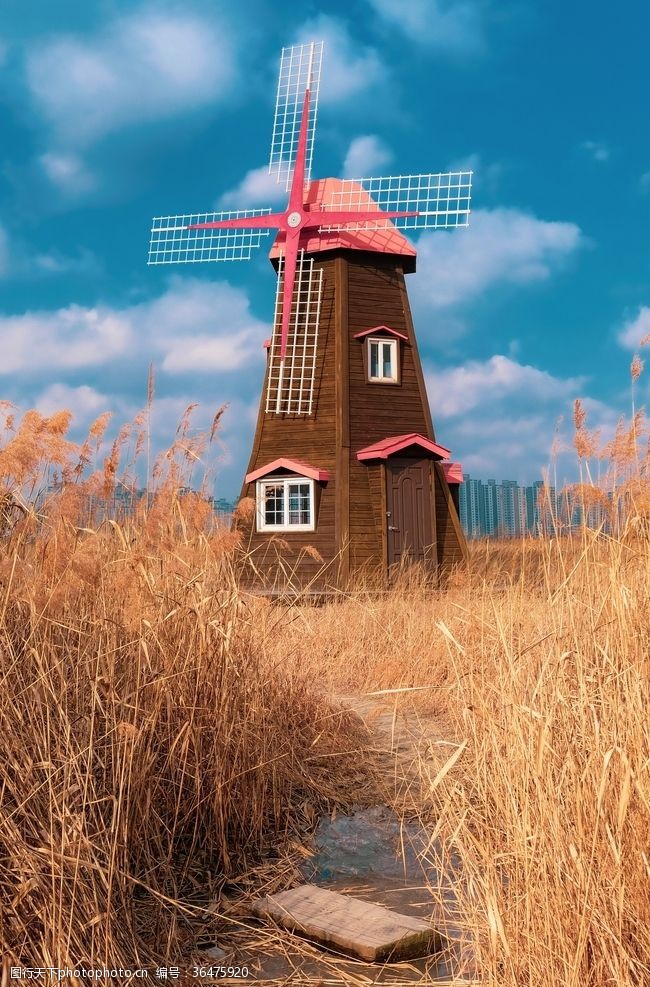 转动的风车荷兰的小风车