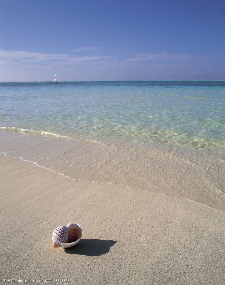 马尔代夫海景沙滩海岸海滩