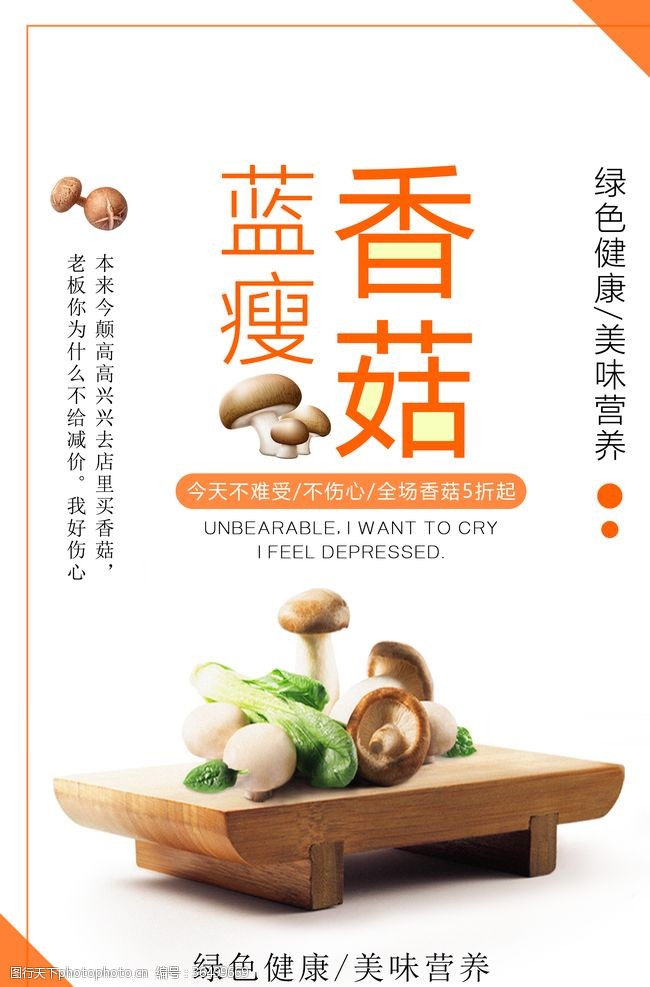 香菇特产香菇