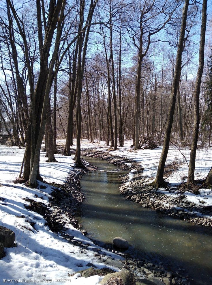 春意河溪冬天春自然森林