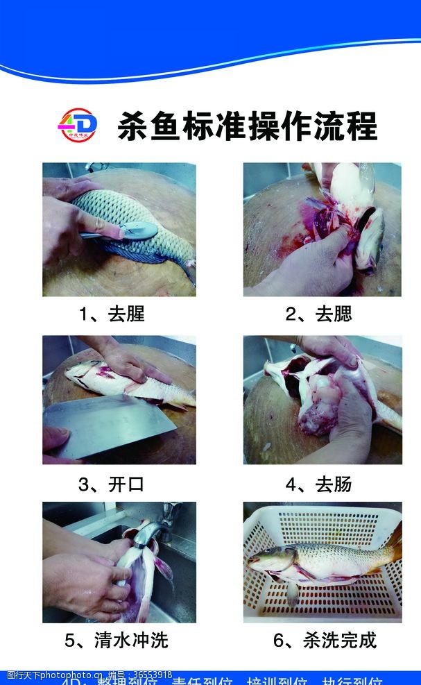 杀鱼流程厨房文化4D厨房