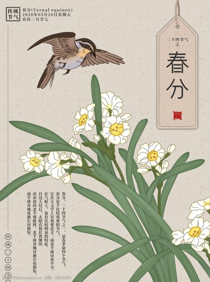 张国立手绘简约中国风春分节气海报