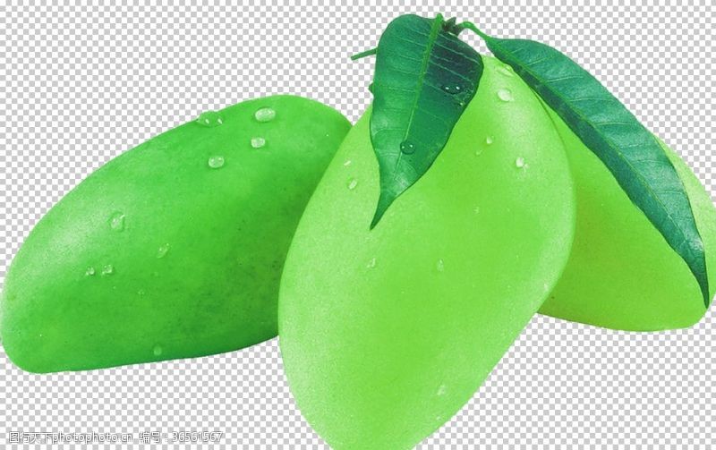 西瓜水果