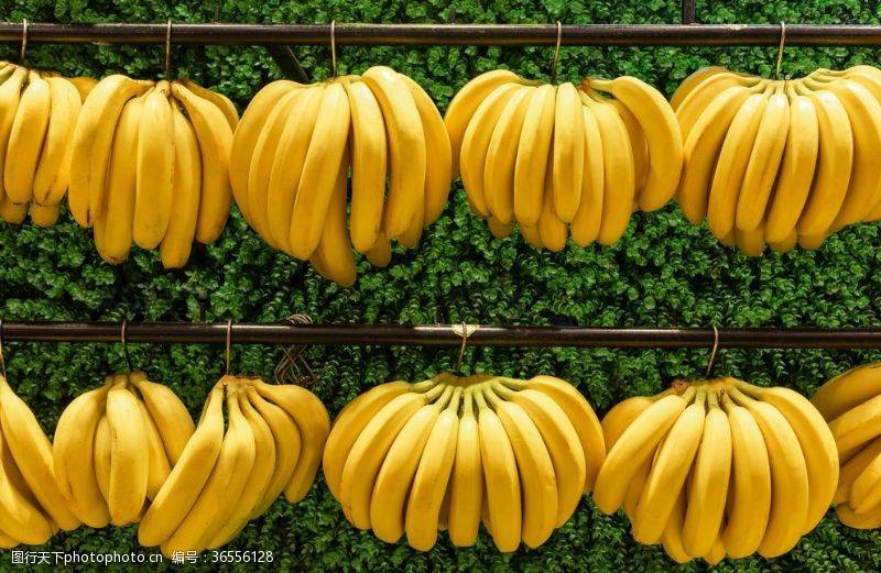 萝卜香蕉芭蕉水果