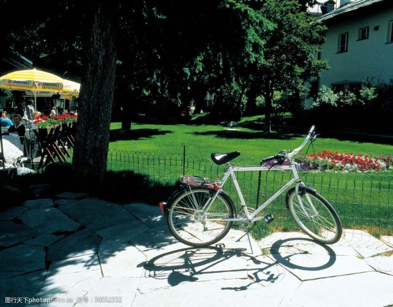 户外骑行自行车共享单车车技