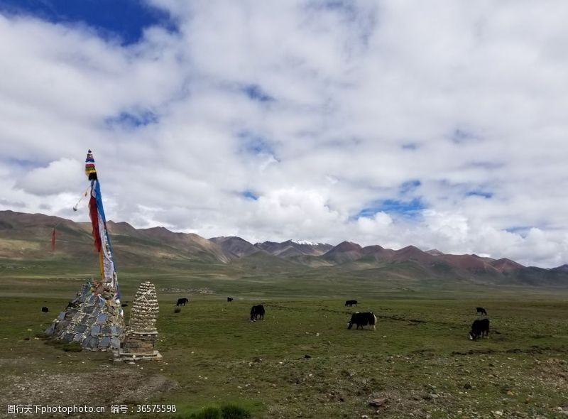 西藏旅游海报川藏