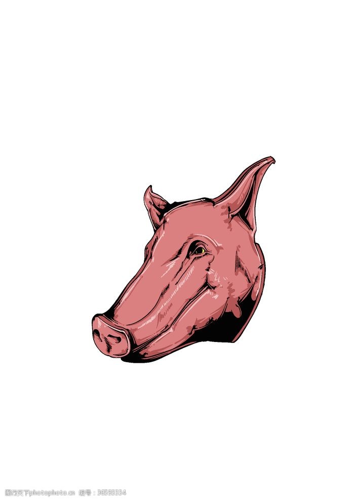 卡通野猪创意可爱卡通动物头像素材