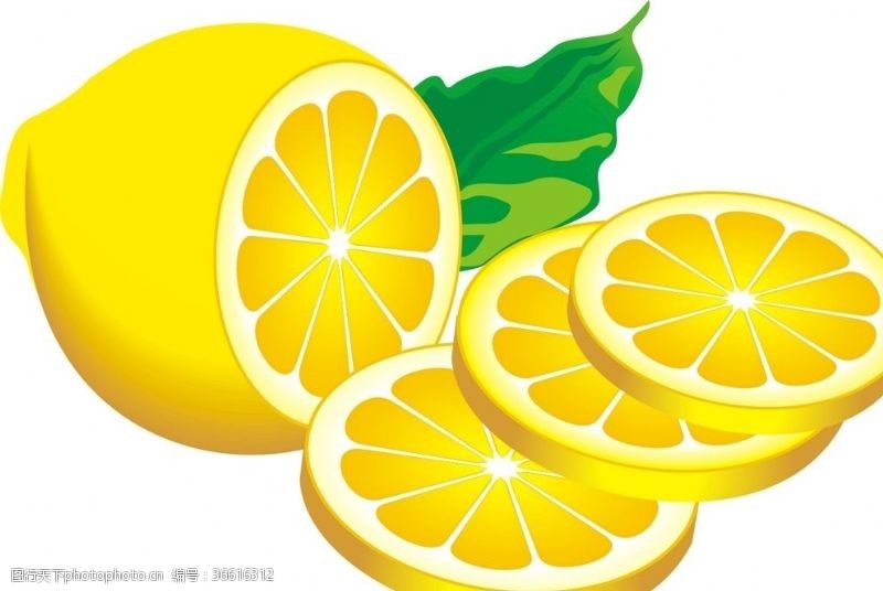 橙子切片素材柠檬