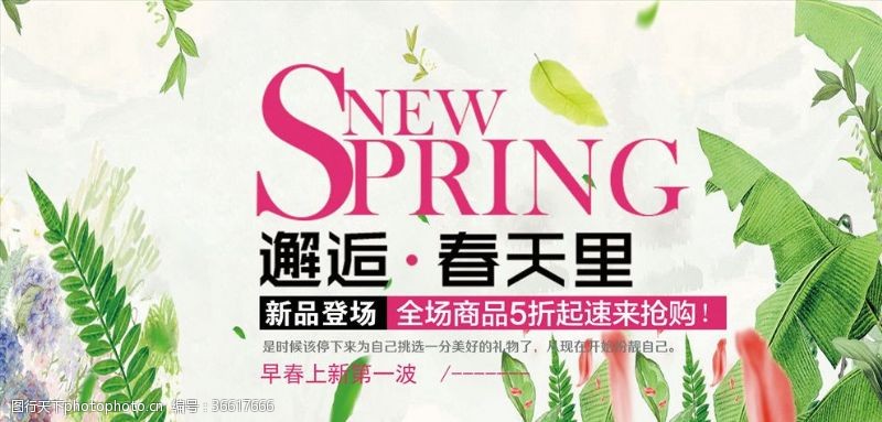 spring春季促销