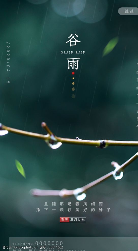 清明节谷雨
