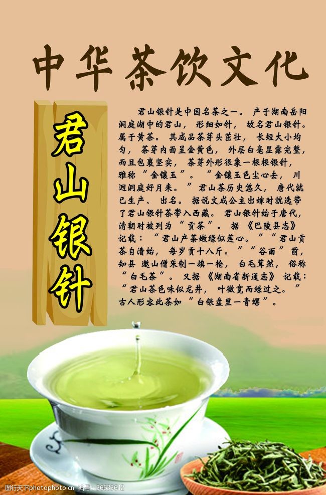 茶文化中华茶饮文化之君山银针