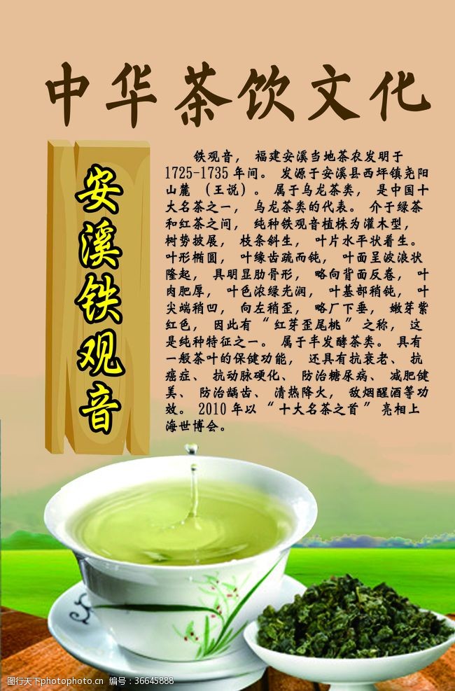 中华茶饮文化之安溪铁观音