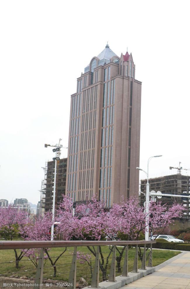 粉红色樱花公园景观建筑