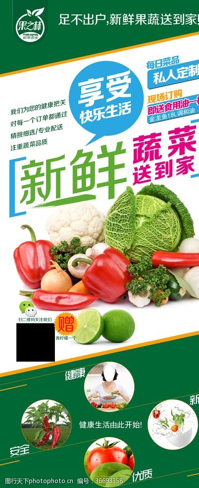 绿色蔬菜展架素材新鲜蔬菜