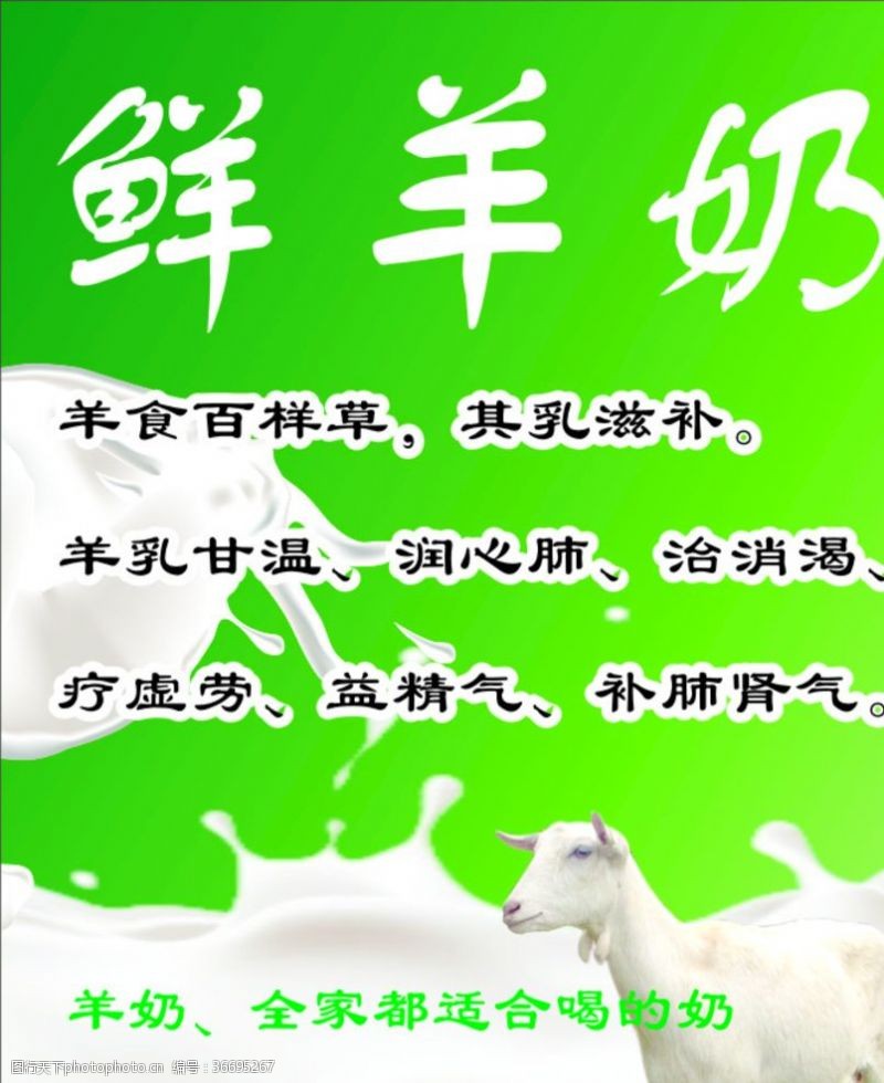 高钙奶鲜羊奶海报