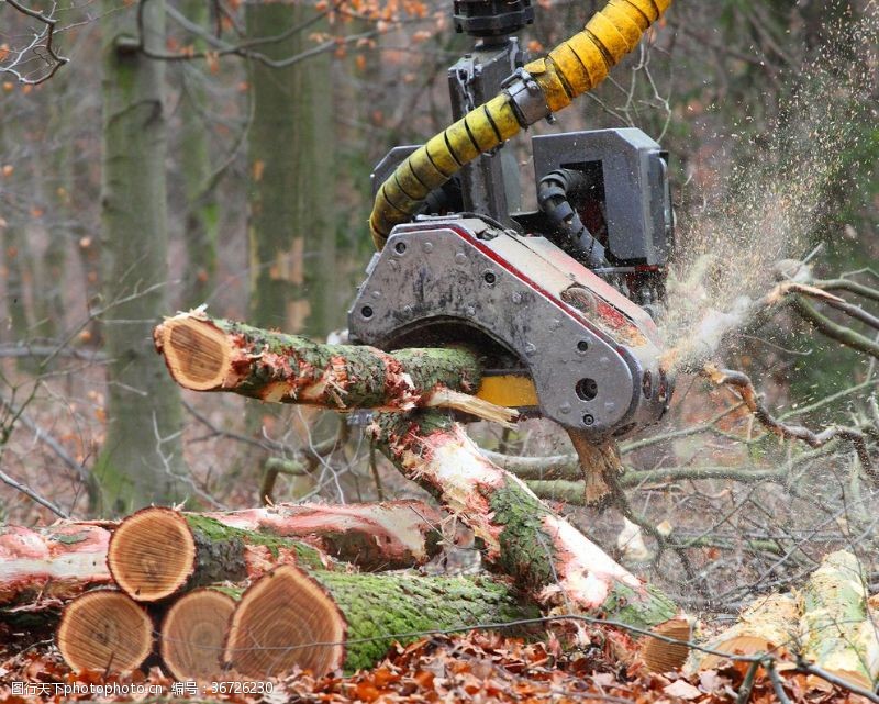 采伐伐木机