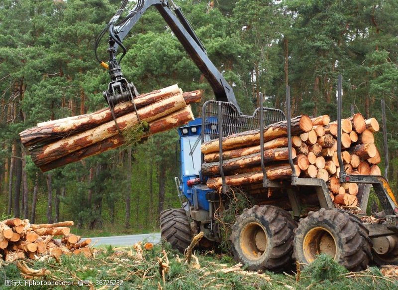 伐木木材装卸机