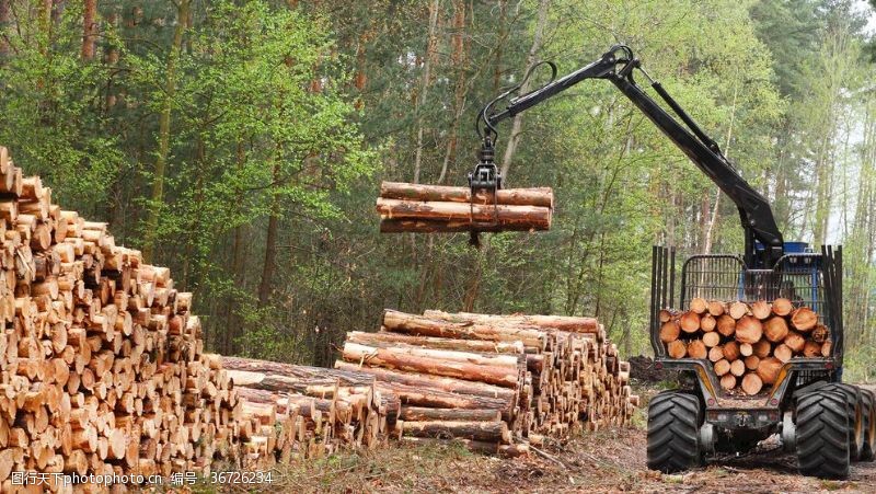 伐木木材装卸机