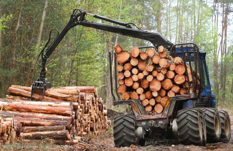 采伐木材装卸机