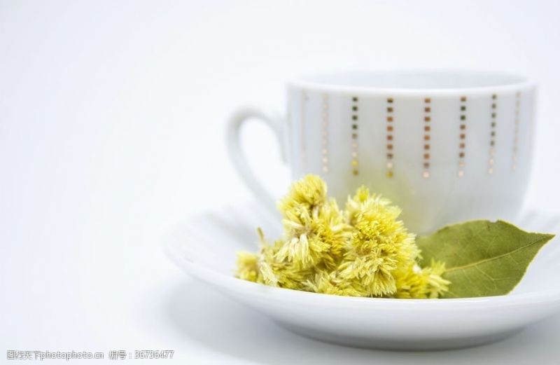 菊花茶茶杯与菊花