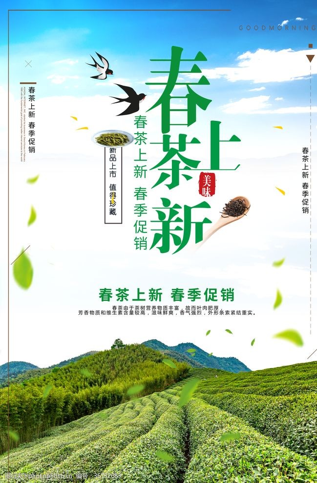 采茶制茶图春茶上新