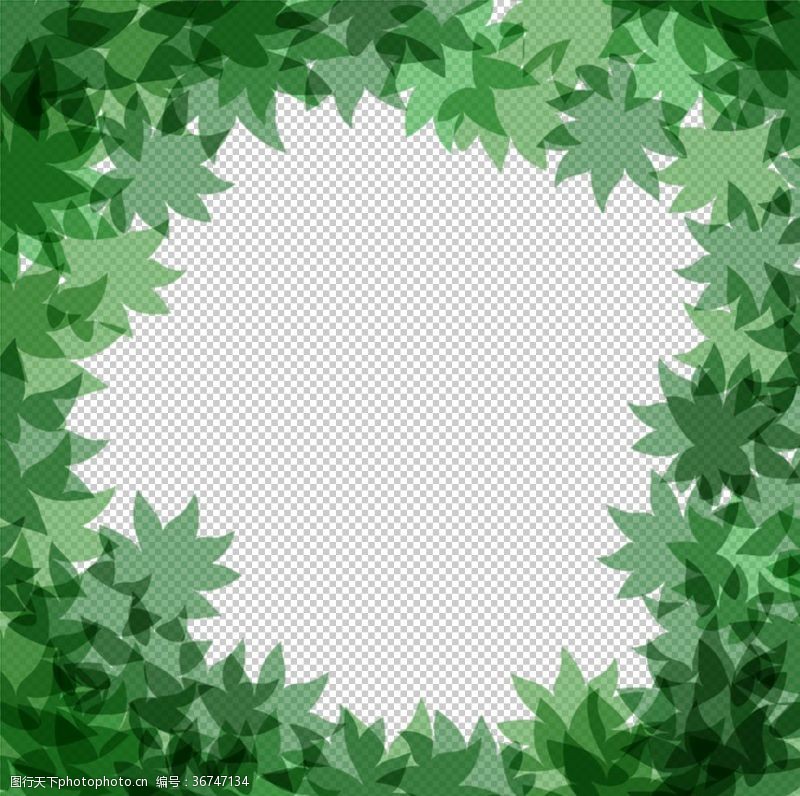 海鲜纸板设计绿色背景