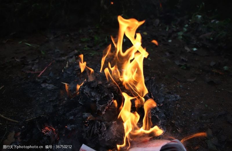 缅怀先祖清明节扫墓