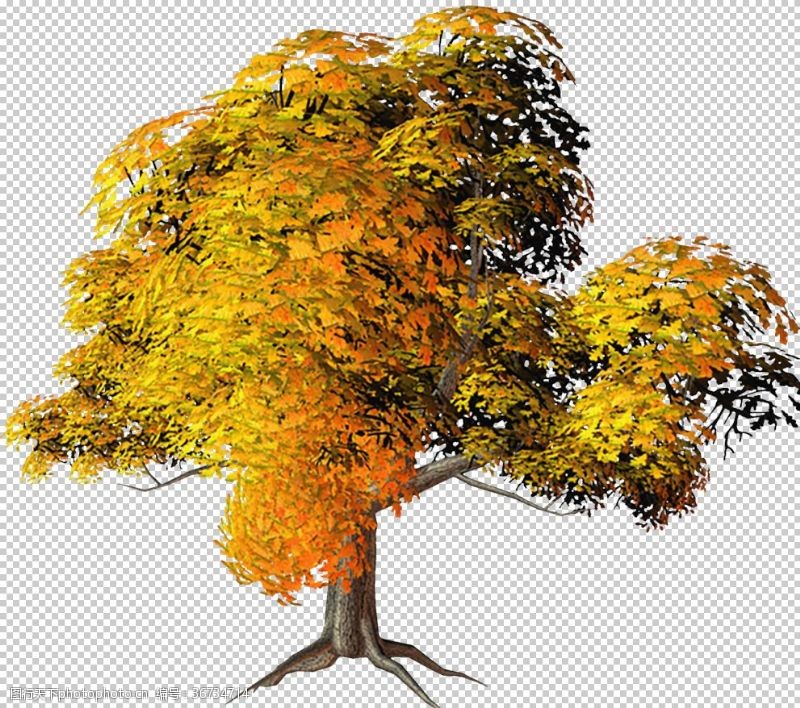 树木剪影透明大树png素材