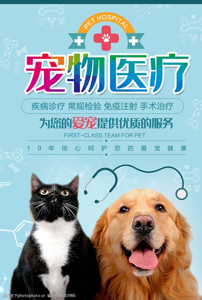 宠物用品海报宠物医疗