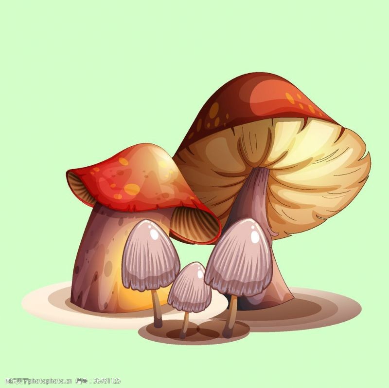 沙滩美女蘑菇