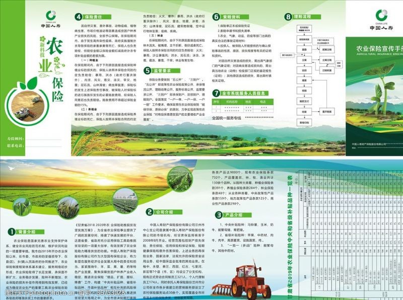 中国人寿保险农业保险中国人寿矢量
