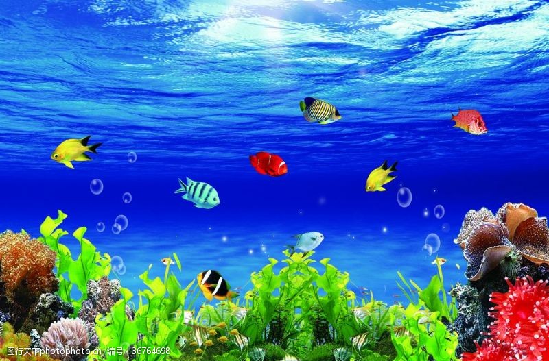 海底图图片免费下载 海底图素材 海底图模板 图行天下素材网