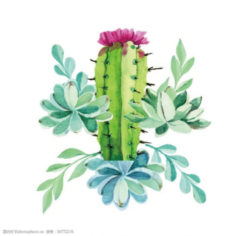 水彩植物素材图片免费下载 水彩植物素材素材 水彩植物素材模板 图行天下素材网