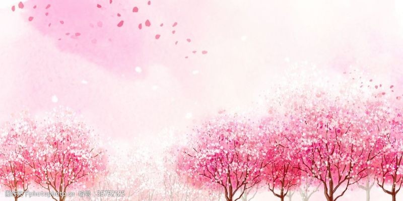粉红色樱花桃花林