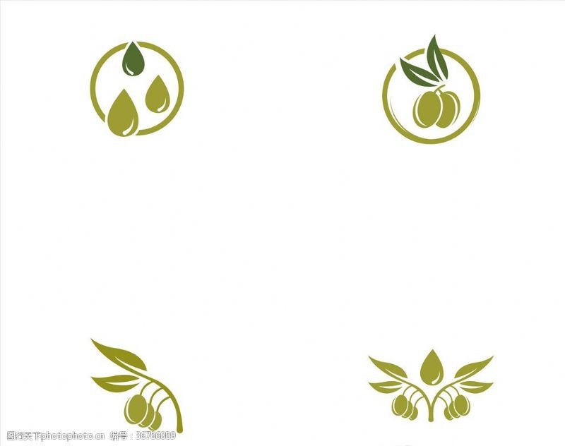 橄榄枝标签橄榄油图标