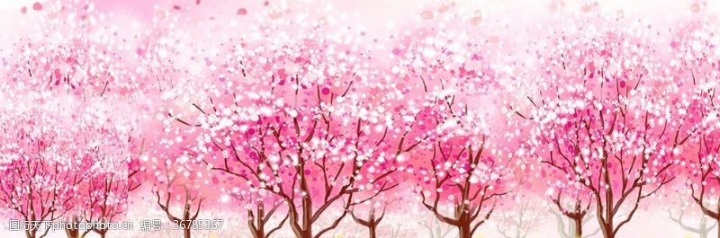 粉红色樱花桃花林