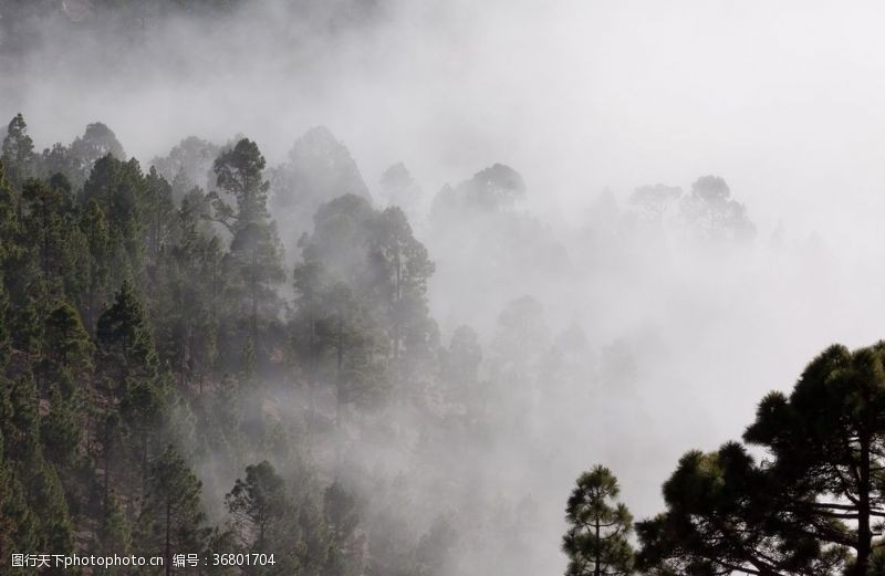云雾缭绕远山森林雾