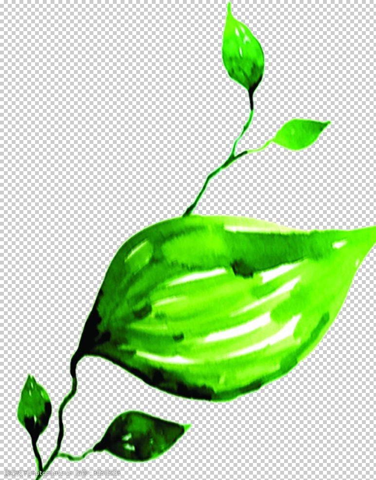 纸带效果绿色植物
