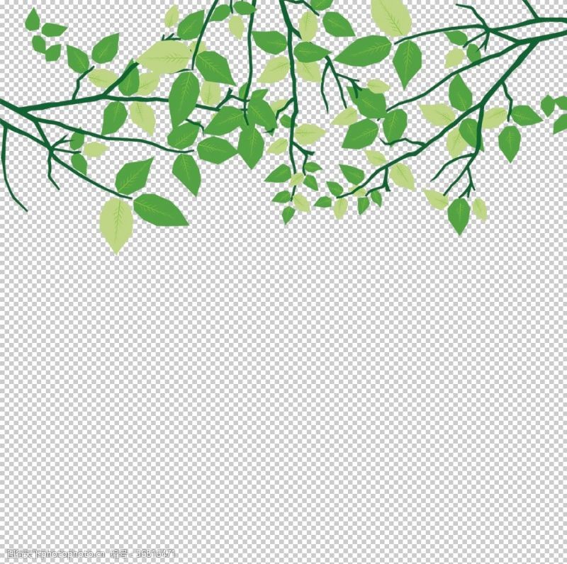 纸带效果绿色植物