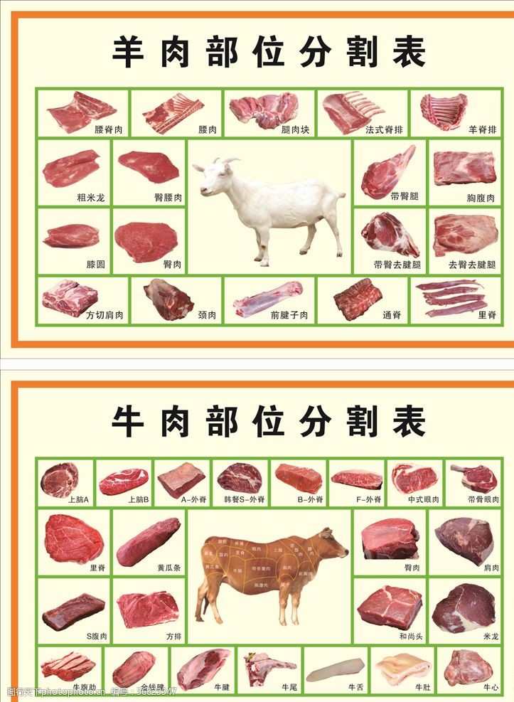 分割部位牛羊肉分割图